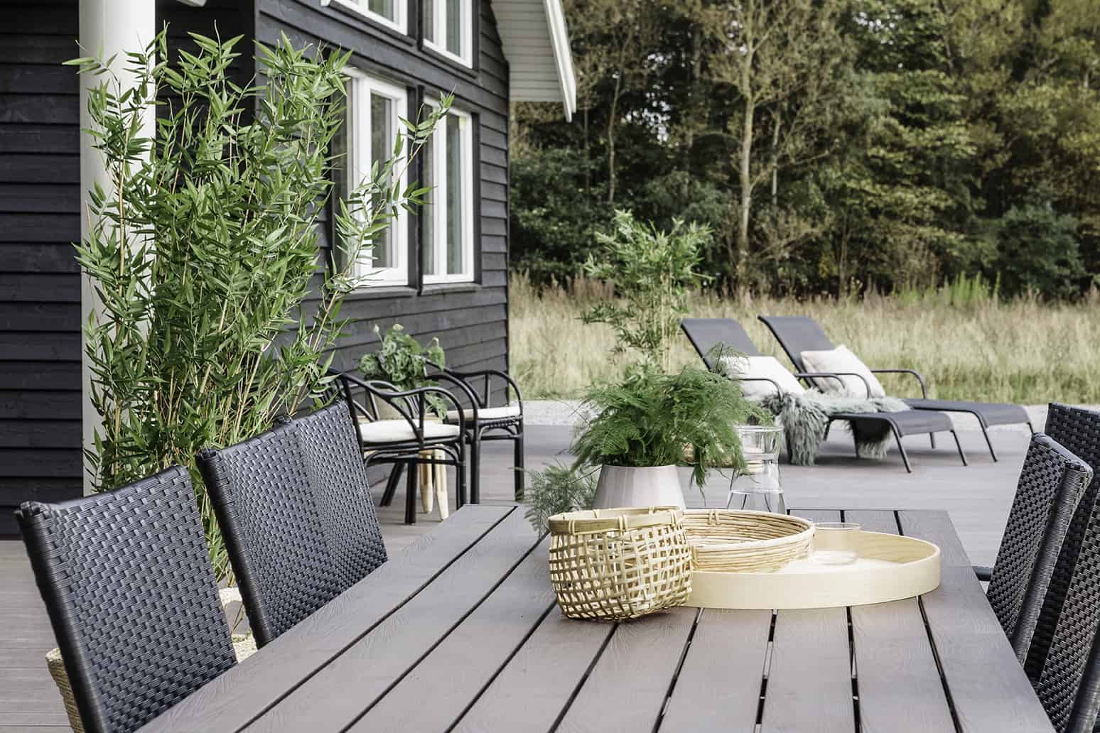 Skanlux Aqua sommerhus med pool og aktivitetsrum