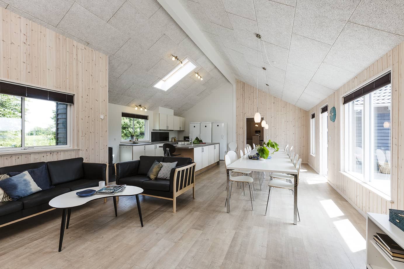 Skanlux Aqua sommerhus med pool og aktivitetsrum