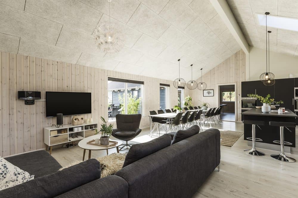Skanlux Aqua sommerhus med pool og aktivitetsrum