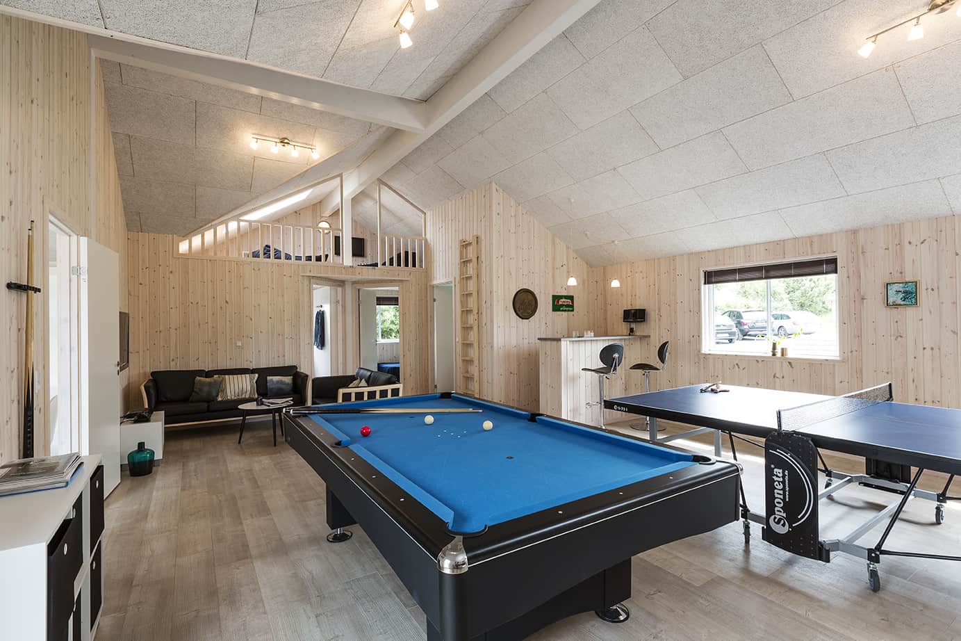 Skanlux Aqua sommerhus med pool og aktivitetsrum