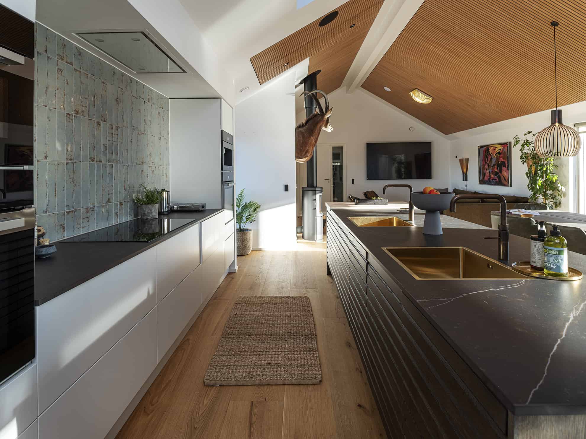 Skanlux Aqua+ sommerhus. Luksus og komfort i topklasse.