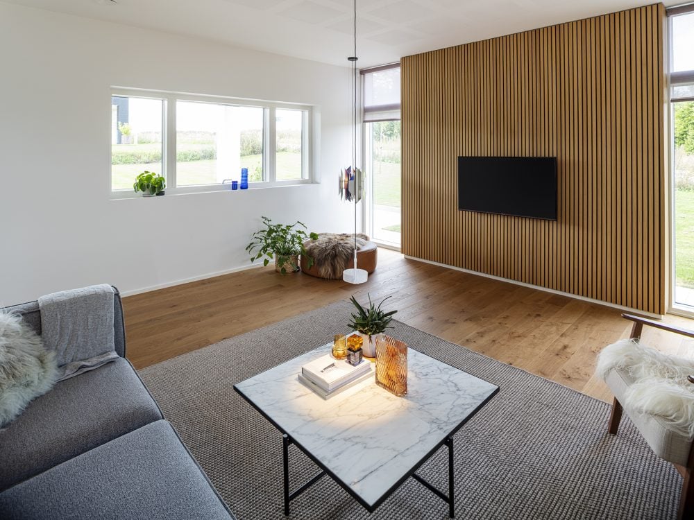 Skanlux Funkis hus