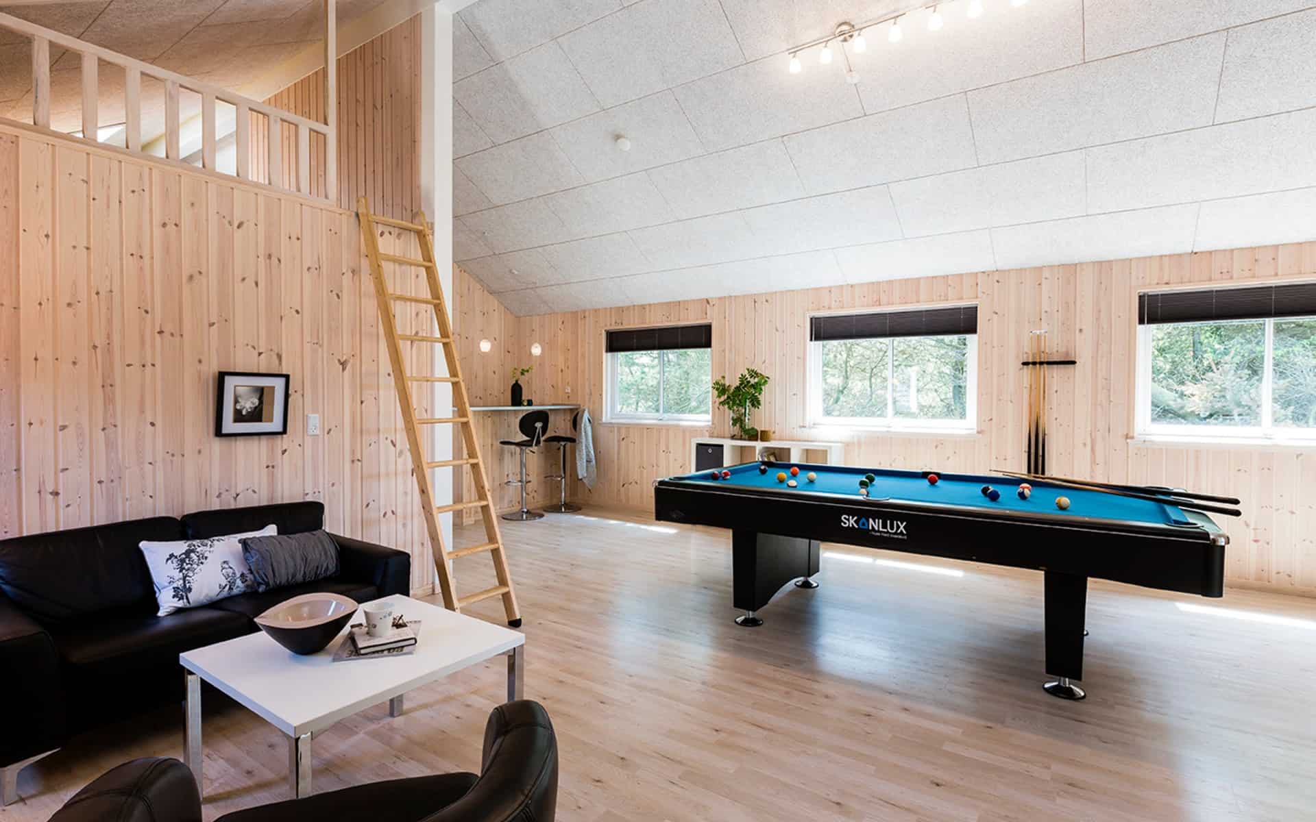Aktivitetsrum i sommerhus med pool med billard og adgang til hems