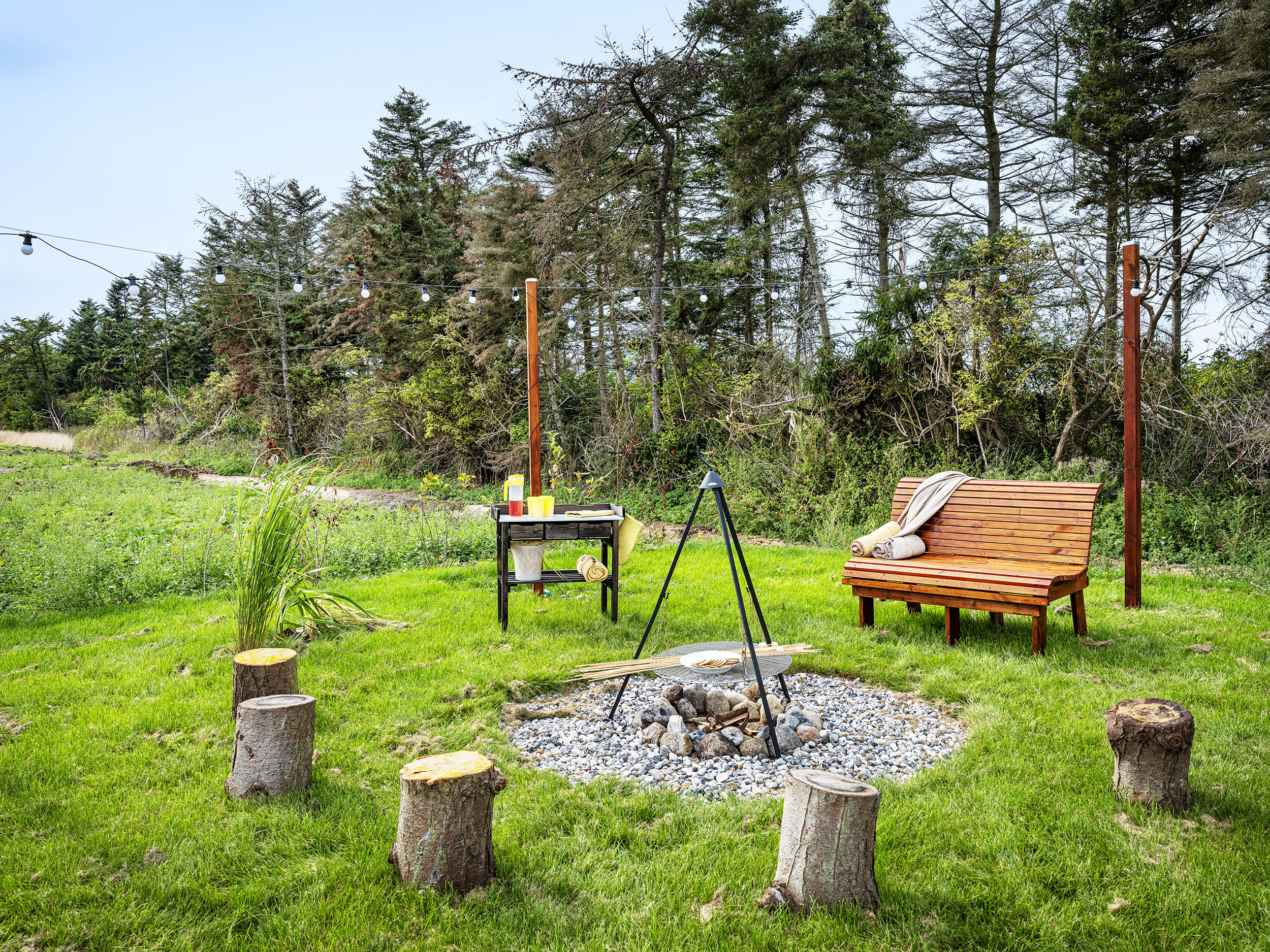 Bålsted med bænk og træstubbe